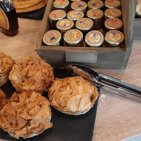 Odalys Centre Compans Caffarelli تولوز