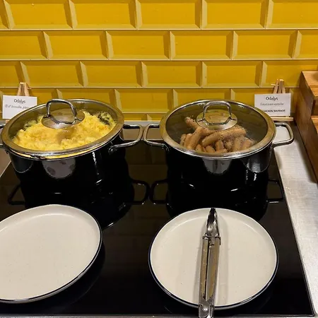 Odalys Centre Compans Caffarelli 3* Toulouse